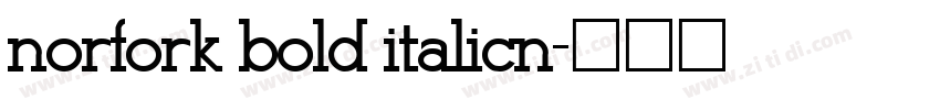 norfork bold italicn字体转换